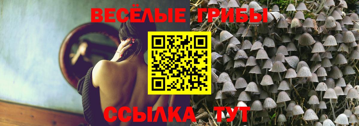 Галлюциногенные грибы мицелий Дятьково