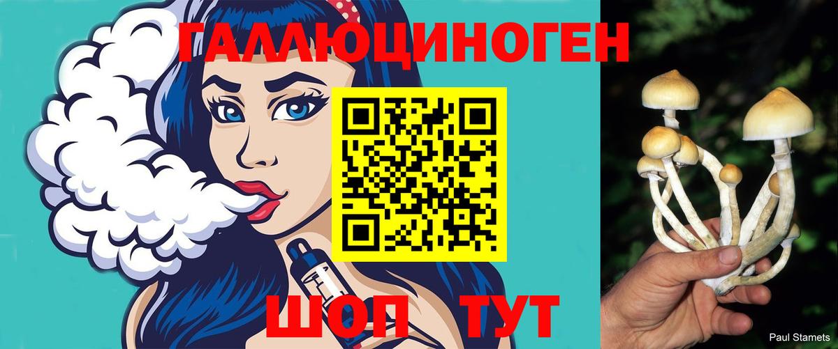 Дятьково  Псилоцибиновые грибы Psilocybe  Вход с VPN 
